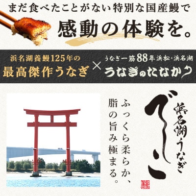 浜名湖養鰻125年の最高傑作「でしこ」!浜名湖・うなぎのたなか国産長蒲焼1本※簡易箱・合計約110g【配送不可地域：離島】【1757970】