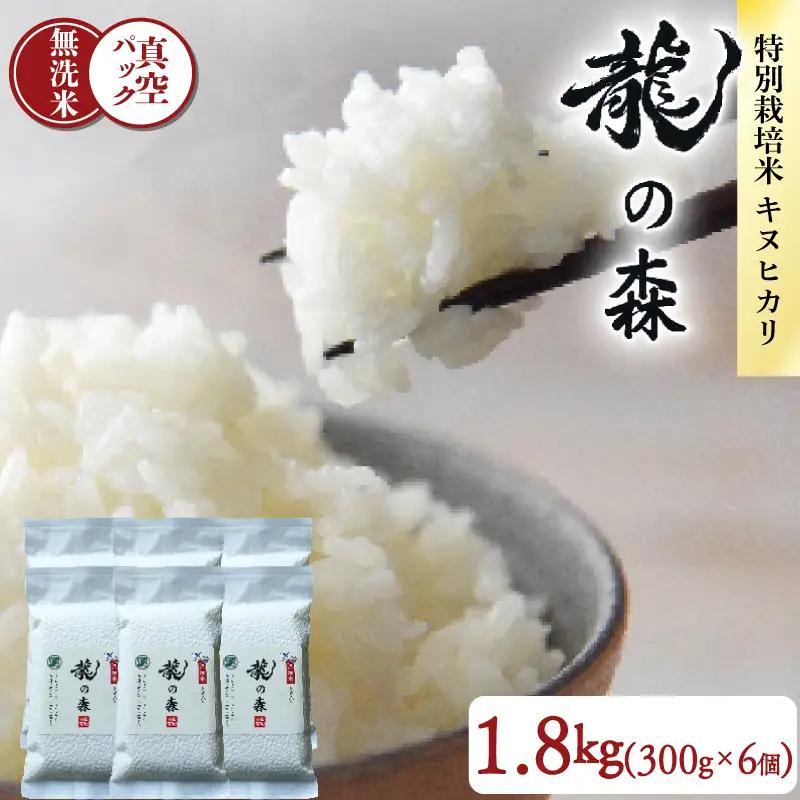 【パックご飯】無洗米 京都府産キヌヒカリ パックご飯 300g×6個 龍の森