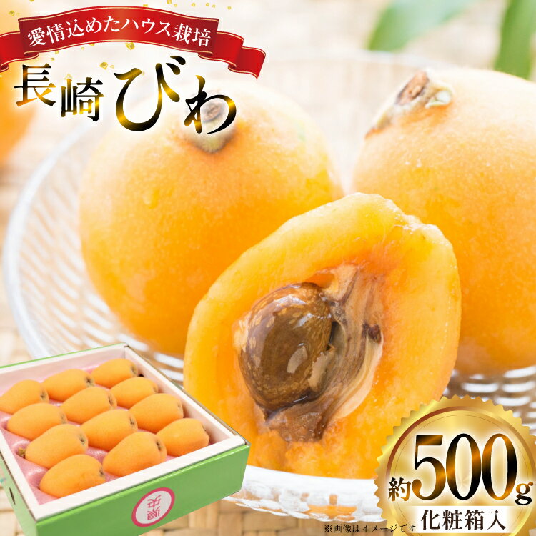 【ふるさと納税】 長崎 びわ 長崎県産 ハウスびわ 500g 化粧箱入 つめあわせ 【2026年3月順次発送】[JAながさき県央グリーン東彼 長崎県 東彼杵町 hs42bag450001] 枇杷 長崎びわ ビワ フルーツ