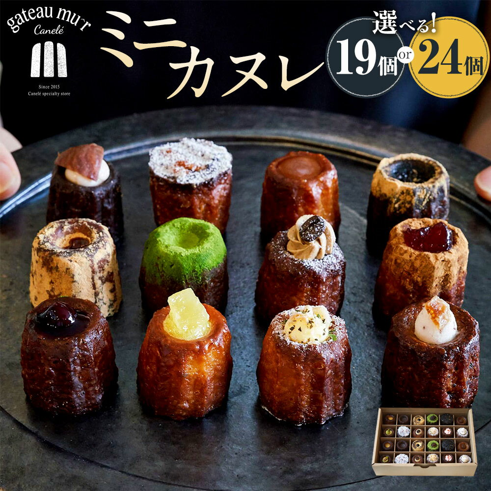 【ふるさと納税】【選べる容量】ガトーミュール ミニカヌレ 19個入 or 24個入 （定番10種+季節のカヌレ2種） 13000円 ～ 15000円 1万3000円 ～ 1万5000円 スイーツ お菓子 おやつ カヌレ 洋菓子 ギフト お取り寄せ 詰め合わせ 詰合せ プレゼント 冷凍 岡山県 奈義町 送料無料