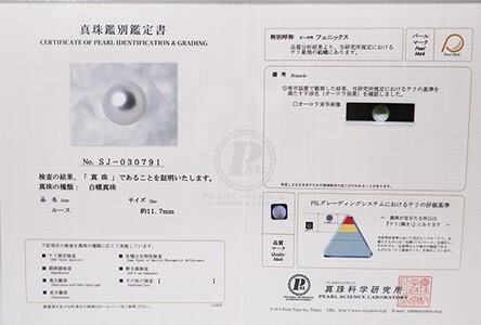 1947 【真珠科学研究所オーロラフェニックス鑑別書付】Pt 南洋白蝶真珠真珠　11.0㎜up　ダイヤモンド0.65ct　ペンダントネックレス