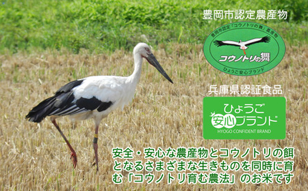 【新米予約受付】六方たんぼ コシヒカリ 農薬不使用（白米：3kg）令和6年産 / 新米 米 お米 精米 コシヒカリ コウノトリ育む農法