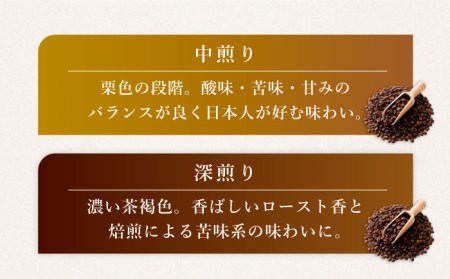 【飲み比べ】【12回定期便】ドリップバック 自家焙煎コーヒー 100袋（5種類×20袋） ＜giko coffee＞[CFK040]