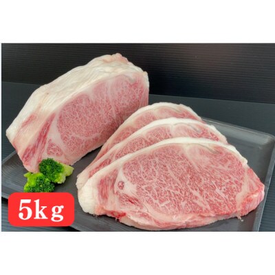おおいた和牛サーロインブロック 5kg【配送不可地域：離島】【1701002】