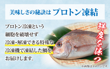 鯛しゃぶ食べ比べセット　2～3人前【急速冷凍】（プロトン凍結）