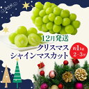 【ふるさと納税】＜2024年発送＞冬季限定！！ 山梨県笛吹市産 クリスマスシャインマスカット 約1.0kg 2～3房 ふるさと納税 クリスマス シャインマスカット 笛吹市 国産 人気 期間限定 ぶどう ブドウ 葡萄 プレゼント 贈り物 果物 フルーツ 山梨県 送料無料 105-020