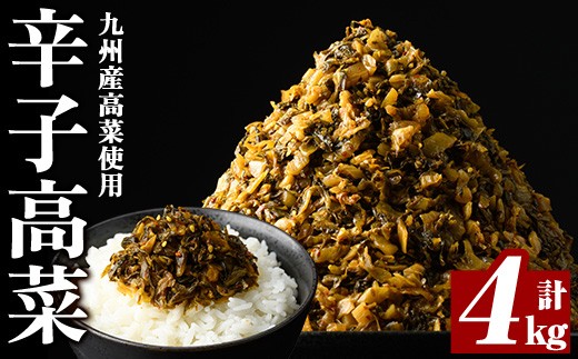 a568-B 九州産辛子高菜4kg(1kg×4パック)【九州新進】姶良市 国産 九州産 たかな 漬物 漬け物 ご飯のお供 おかず おつまみ おにぎり 常温 常温保存
