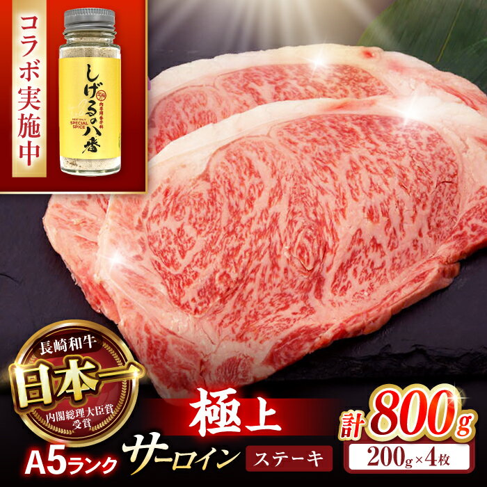 【ふるさと納税】【コラボ実施中】長崎和牛 サーロインステーキ 400g（200g×2枚） / サーロイン さーろいん サーロインステーキ ブロック 2枚 A5 希少部位 / 諫早市 / 野中精肉店 [AHCW005]