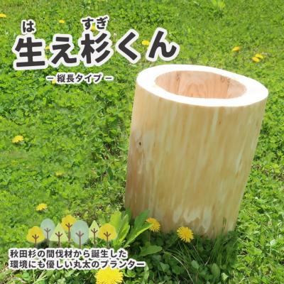ふるさと納税 能代市 秋田杉の丸太プランター「生え杉くん(はえすぎくん)」縦長タイプ[No.5335-0256]