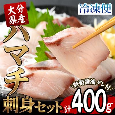 ふるさと納税 佐伯市 大分県産 ハマチ刺身セット