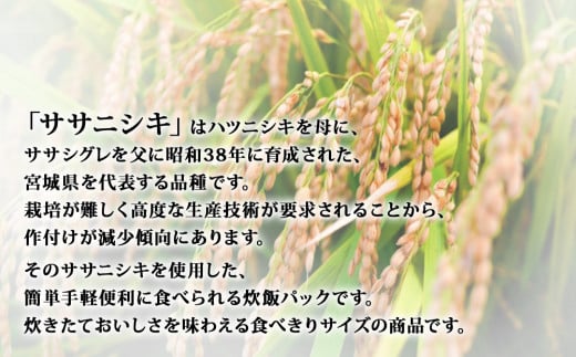 宮城県産「ササニシキ」パックご飯　160ｇ×48個