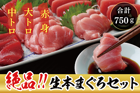 【冷蔵】絶品！生本マグロ セット 大トロ 200g + 中トロ 200g + 赤身 200g　（すべて柵どり）