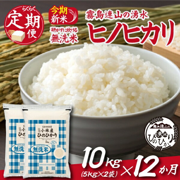 【ふるさと納税】【お米の定期便／12か月コース】＼無洗米／霧島連山の湧水ヒノヒカリ（定期便 国産 米 無洗米 精米済み 送料無料）