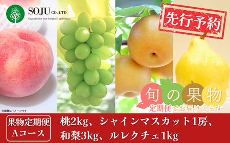 先行予約 フルーツ 定期便 全4回 フルーツ定期便 Aコース (桃2kg、シャインマスカット1房、和梨3kg、ル レクチェ1kg) 令和8年度 新潟県 フルーツ 定期便