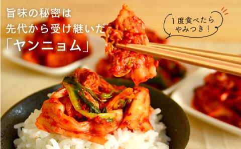 玉家のキムチセットA（白菜、葱、胡瓜、大根）【玉家のキムチ工房】 【いとしまごころ】 [AAE001]