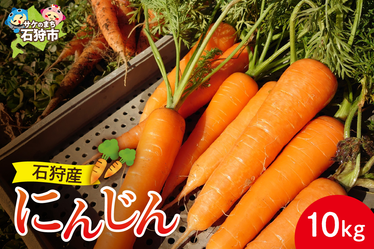 石狩産 人参 10kg【8月～11月発送】｜ 北海道産 にんじん 野菜 北海道 石狩市