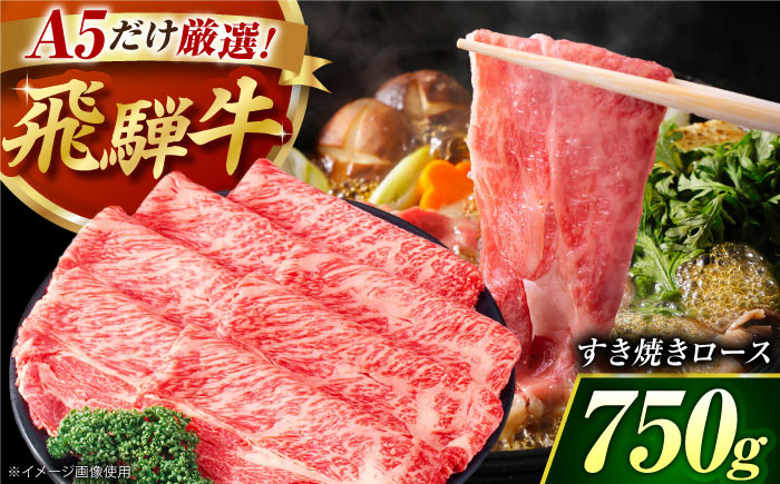 
            【おすすめ】【大容量】 厳選 A5等級 飛騨牛 赤身 ロース スライス 750g  | 牛肉 肉 牛 にく お肉 黒毛和牛 和牛 国産牛 ブランド牛 高級肉 すき焼き すきやき しゃぶしゃぶ 焼肉 牛丼 肉じゃが 冷凍 ギフト プレゼント お祝い｜岐阜県御嵩町 肉のキング [AVAG001]
          