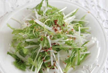 CQ037_オーガニックサラダミニセット【植物性で育てた完全無農薬の葉野菜ブランド有機JAS】