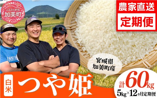 先行予約（2026年10月中旬～発送） 令和8年産【5kg×12回 計60kg】 米 宮城県産 つや姫　定期便  ブランド米 白米 精米 ご飯 ごはん コメ こめ お米 小分け 家庭用 結心ファーム [ 宮城県 加美町 ]  | yu-th05-t12-r8