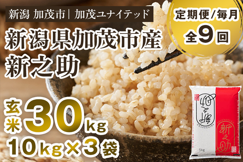 
            【令和6年産新米先行予約】【定期便9ヶ月毎月お届け】新潟県産 新之助 玄米30kg 《10kg×3袋》 新潟 ブランド米 加茂市 加茂ユナイテッド
          