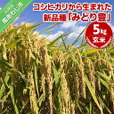 【ふるさと納税】令和6年産　玄米5kg　農薬・化学肥料不使用10月初旬頃から発送