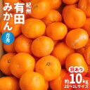 【ふるさと納税】紀州 有田みかん 約 10kg 2S～2Lサイズいずれか【訳あり 家庭用】【青秀・良】【ミカン 蜜柑 柑橘 温州みかん 有田みかん】