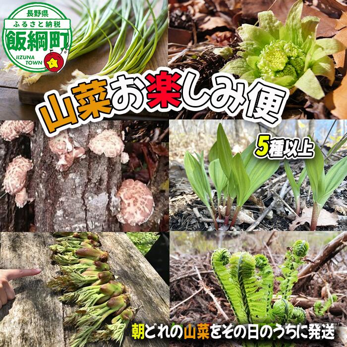 【ふるさと納税】 朝採れ 冷蔵 信州産 飯綱町産 山菜 お楽しみ便 5種類以上 80サイズ くろやなぎ農園 沖縄県への配送不可〔 山菜 詰め合わせ セット 信州 長野 飯綱町 19000円 〕 発送時期：2025年4月中旬〜2025年5月中旬