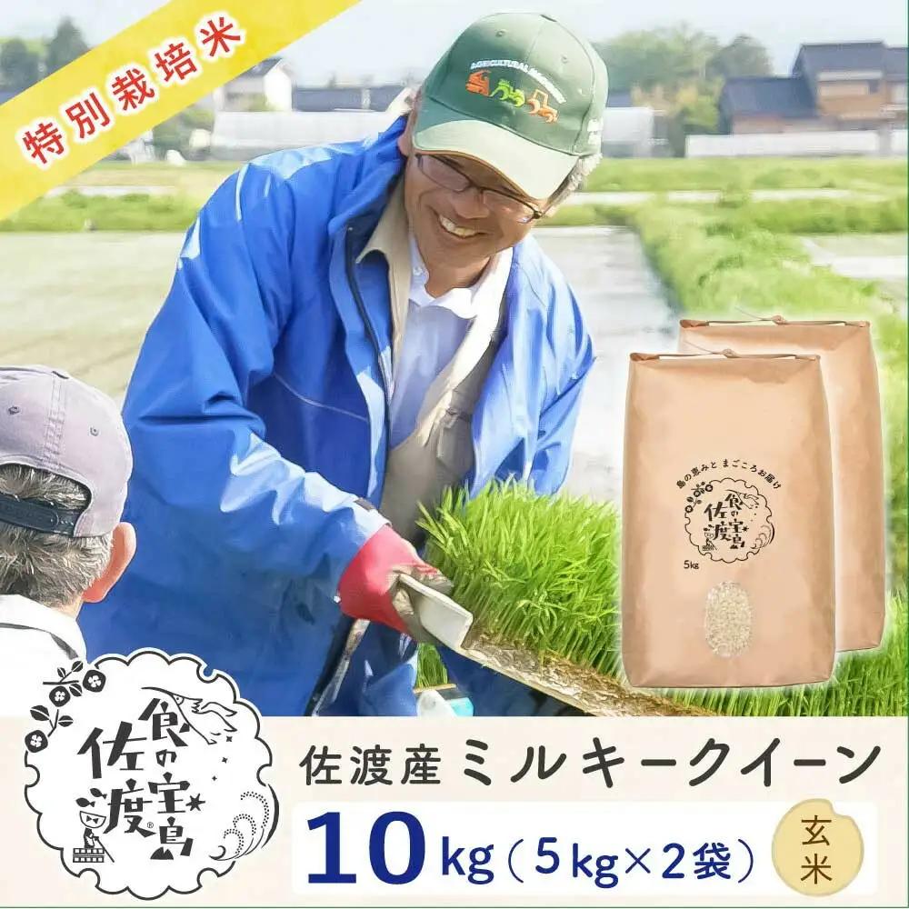 玄米 10kg ( 5キロ×2袋 ) 令和7年 | 新潟県 佐渡市 ミルキークイーン 米