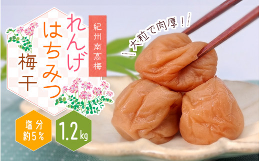 
紀州南高梅 大粒 れんげはちみつ梅干 1.2kg 塩分約5%/梅 梅干 梅干し うめ ウメ 南高梅 はちみつ梅 はちみつ梅干 大容量 たっぷり お得 ご飯のお供 ご家庭用 ご自宅用 贈答 お中元 お歳暮 人気 健康
