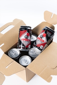 【定期便3ヶ月】クラフトビールリパブリュー　REPUBREW　69IPA（シックスティナインアイピーエー）　12本　３回お届け【 ビール お酒 静岡県 三島市 】