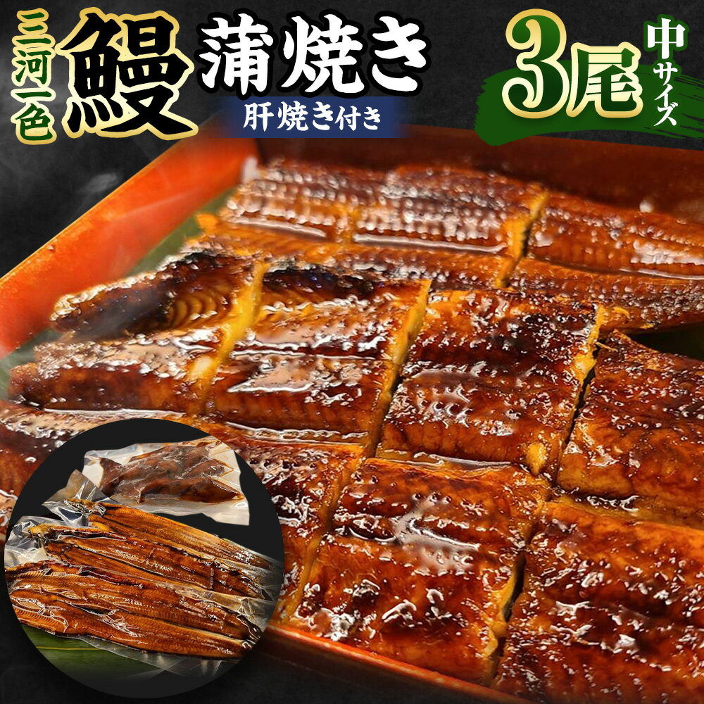 【ふるさと納税】三河一色産 うなぎ蒲焼き 中3尾 うなぎ かば焼き 肝焼き タレ付き セット お魚 湯煎 レンジ 惣菜 簡単調理 冷凍 幸田町 送料無料