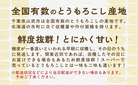 【先行予約】【発送期間：5月中旬～5月下旬】地元の道の駅オライはすぬまで大人気の農家から直送! ジューシーではじける食感が特徴! 朝採り とうもろこし SMCV001