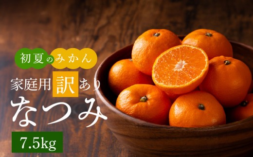 
                  【2027年先行予約】初夏のみかん なつみ 7.5kg【家庭用 訳あり】【ミカン 蜜柑 柑橘 和歌山 有田 南津海】_G7073
                