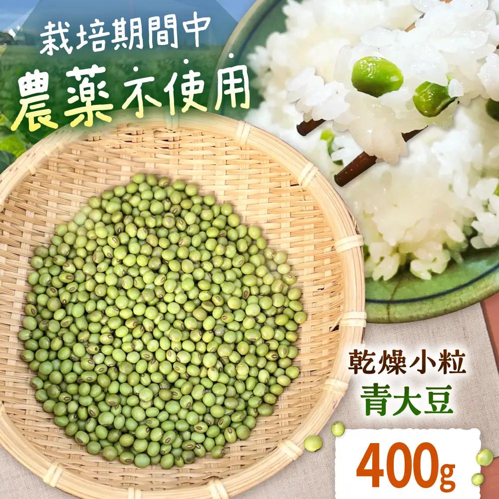 乾燥小粒青大豆（品種：黒神）400g【ekam】 大豆 [AXBV011]