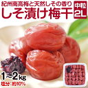 【ふるさと納税】しそ漬け梅干し(紀州南高梅)1kg・2kg 中粒 2L 和歌山県産 梅干し 梅干 うめぼし しそ梅 しそ 送料無料 ふるさと納税 梅干し 減塩