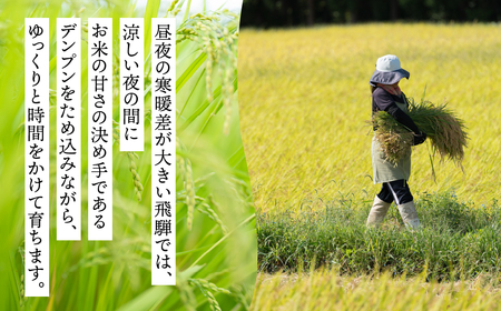 米 定期便 3kg×12回 計36kg 6ヶ月定期便 令和6年産 飛騨コシヒカリ 「その、一粒のために。」お米 精米 飯 ごはん 高級 ギフト 贈り物 白米 新米[Q2388]