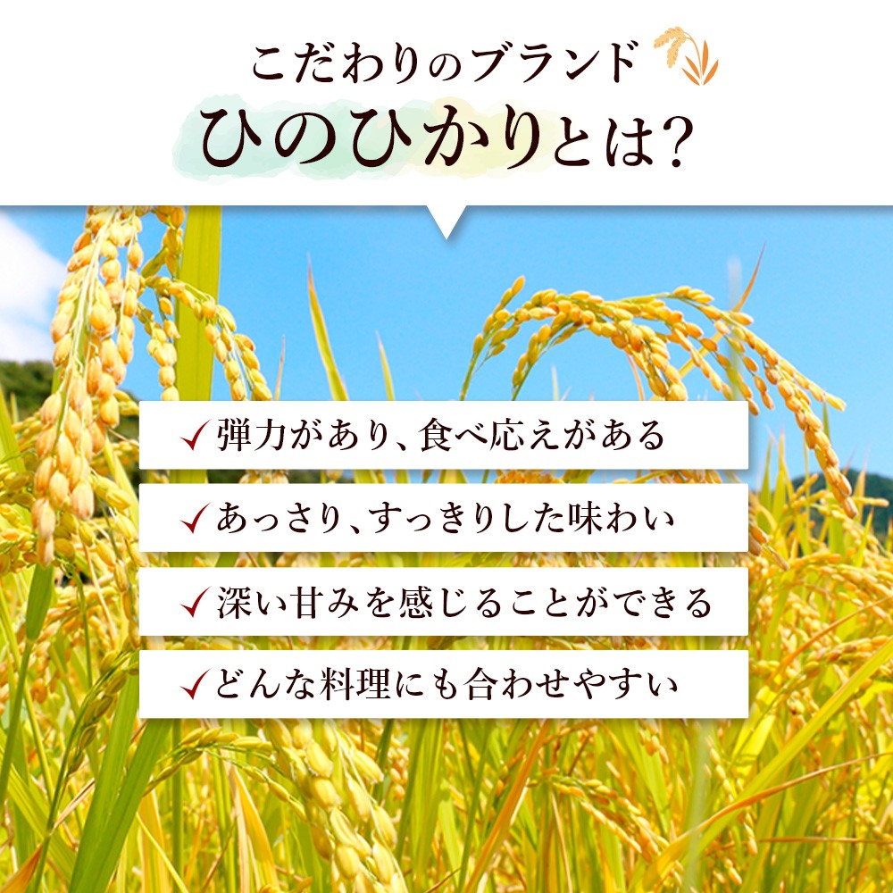画像はイメージです。