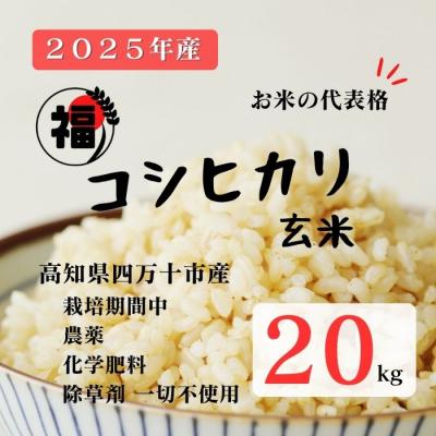 ふるさと納税 四万十市 【令和7年産】四万十市産コシヒカリ 玄米 20kg(栽培期間中農薬・ 化学肥料・除草剤不使用)