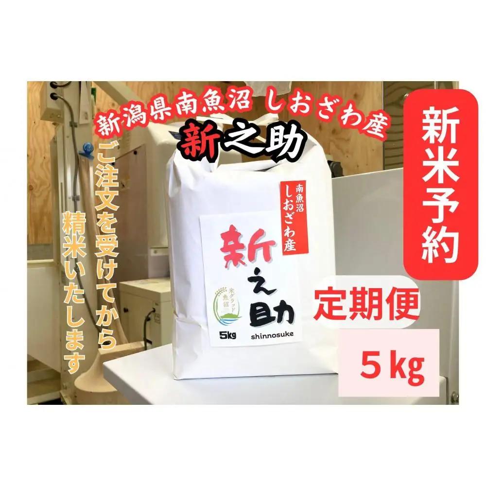 【令和8年・新米予約・定期便】新潟県南魚沼産　新之助　5kg×３か月　大粒でツヤがあるこれまでにないお米【2026年10月中旬より1ヶ月以内に順次発送予定】｜新之助