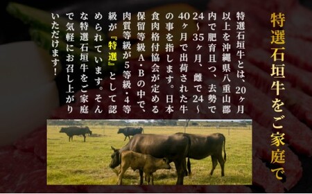 【2025年11月以降順次発送】希少な特選石垣牛をご家庭で！！ロースとカルビ焼肉用食べ比べセット合計400g &石垣牛 MARU秘伝の焼肉タレ100ml×1本 | 沖縄 石垣 特選 牛 ロース カルビ
