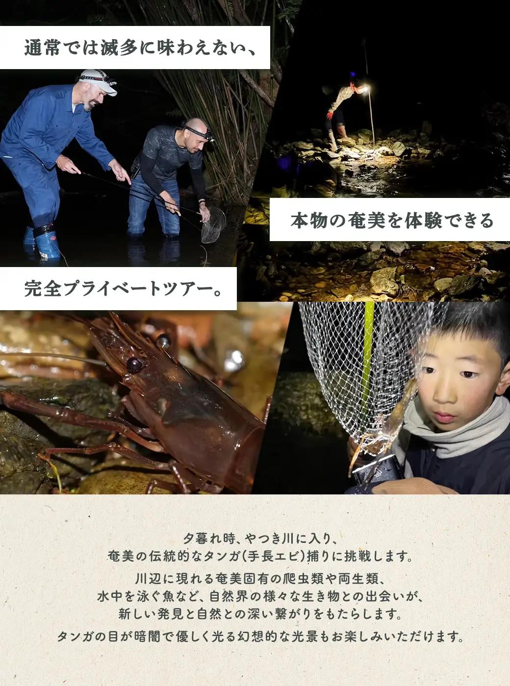 夕暮れタンガ捕り 体験 5名様 奄美大島 宇検村 鹿児島県 旅行 自然 冒険 完全プライベート