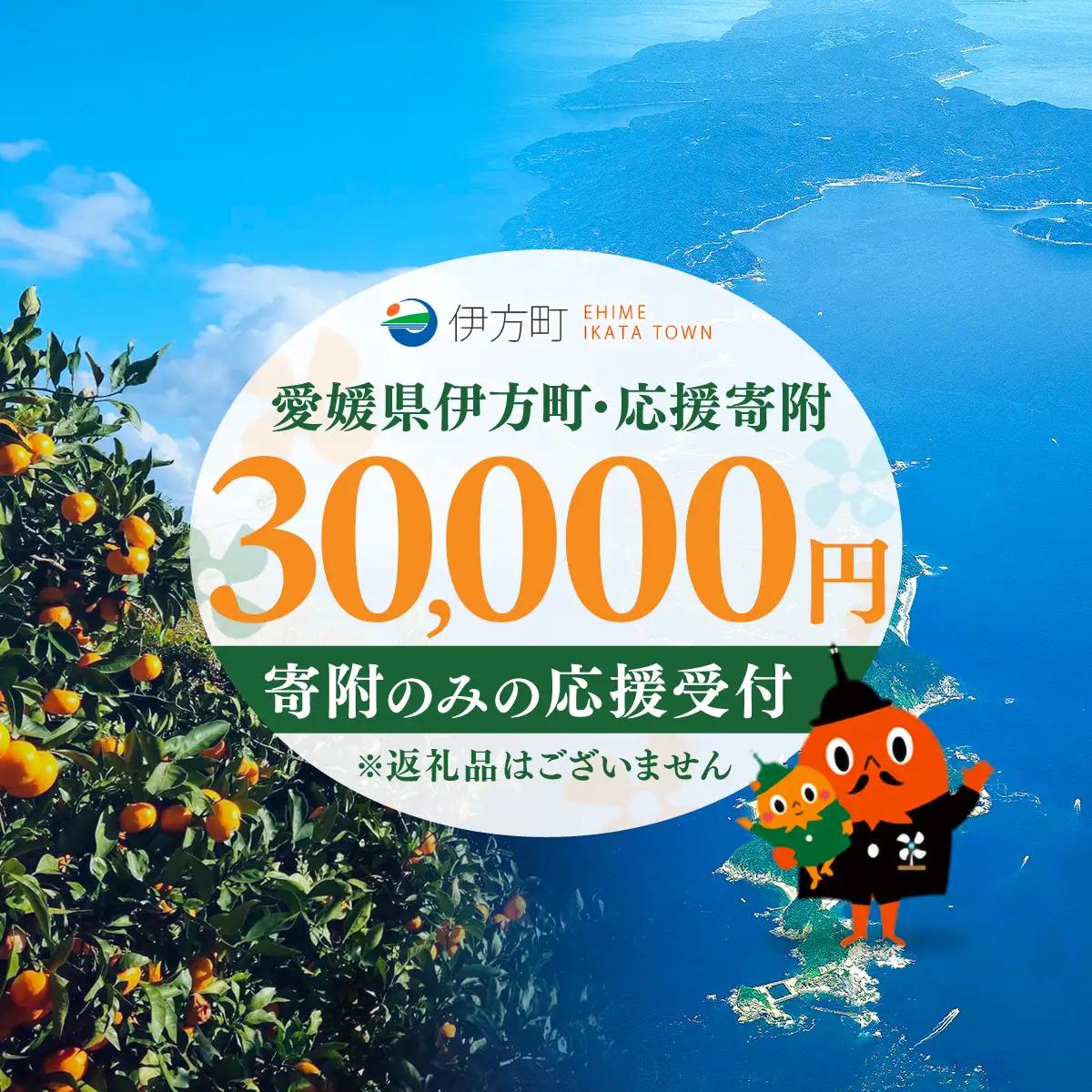 【返礼品なし】愛媛県伊方町・応援寄附30,000円（寄附のみの応援受付 ※返礼品はございません） 【ふるさと納税 人気 おすすめ ランキング 応援寄附 返礼品なし 愛媛県 伊方町 送料無料】 IKTBG004