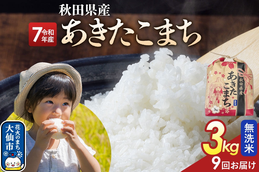 
                  《定期便9ヶ月》あきたこまち【無洗米】3kg 秋田県産 令和7年産 こまちライン 秋田県 大仙市産 [こまちライン あきたこまち ブランド米 お米 白米 精米 無洗米 米どころ 秋田 秋田県産]
                