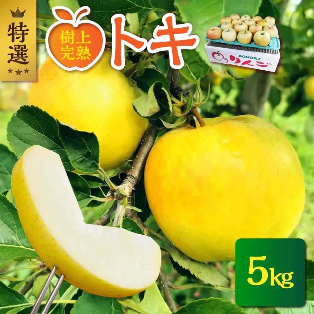 【2026年10月発送】【特選】 りんご 約5kg トキ〈樹上完熟〉 青森県産 りんご