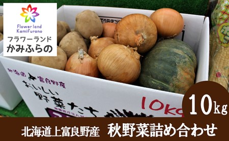 秋野菜詰合せ じゃがいも 玉ねぎ かぼちゃ 北海道産 秋野菜詰合せ【約10kg】