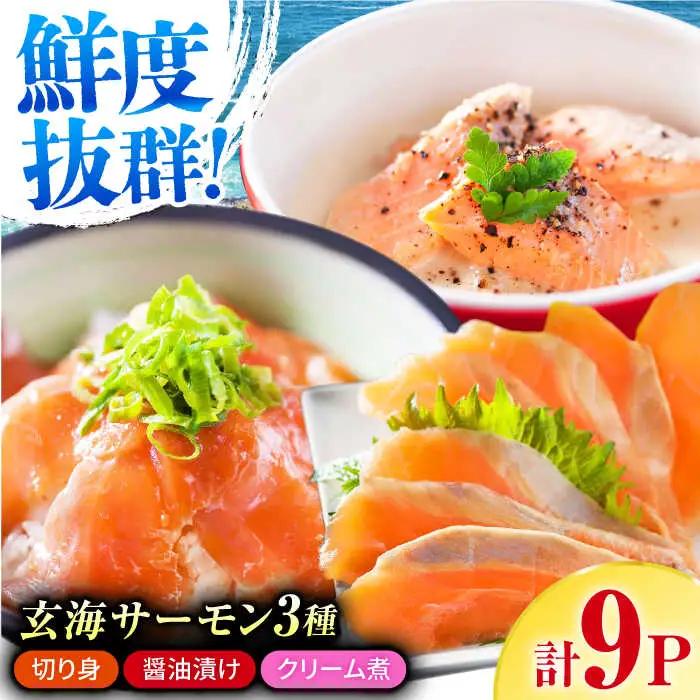 玄海サーモン3種詰合せ（切り身、醤油漬け、クリーム煮） / 佐賀県 [41AECT005]