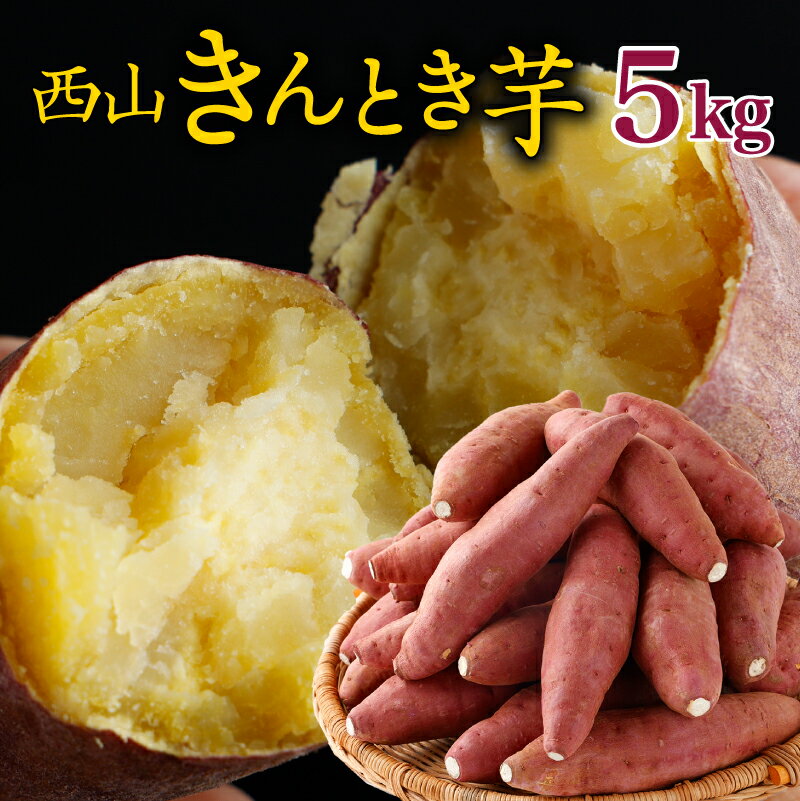 【ふるさと納税】 西山きんとき芋 5kg ｜ 秀品 さつまいも 芋 サツマイモ 産地直送 さつま芋 人気 ランキング おすすめ 金時芋 焼き芋 野菜 故郷納税 先行予約 高知県 室戸市