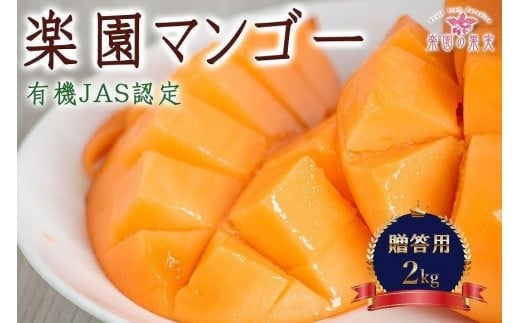 DQ015《先行予約》2026年発送 有機JAS認証マンゴー（アーウィン）贈答用 2kg【楽園の果実】