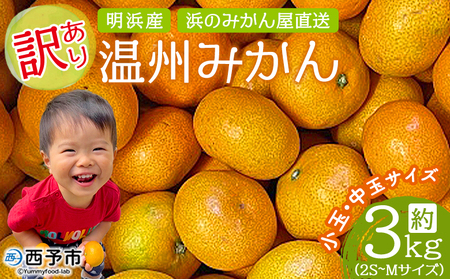 ＜訳あり 温州みかん 約3kg＞ 小玉 中玉 明浜産 果物 フルーツ 蜜柑 うんしゅうみかん ウンシュウミカン 柑橘 家庭用 浜のみかん屋 直送 愛媛県 西予市【常温】『2025年11月上旬～2026年2月上旬迄に順次出荷』AHM0018
