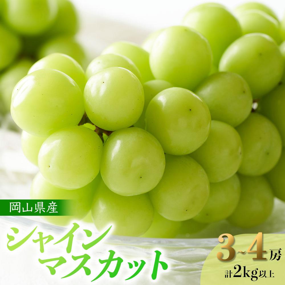 【ふるさと納税】ぶどう 2026年 岡山県産 シャインマスカット 3～4房 計2kg以上＜ジューシーで上品な甘みと高貴な香り＞ | フルーツ 果物 くだもの 食品 人気 おすすめ 送料無料